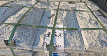 酒泉芝麻白蘑菇石，自然面